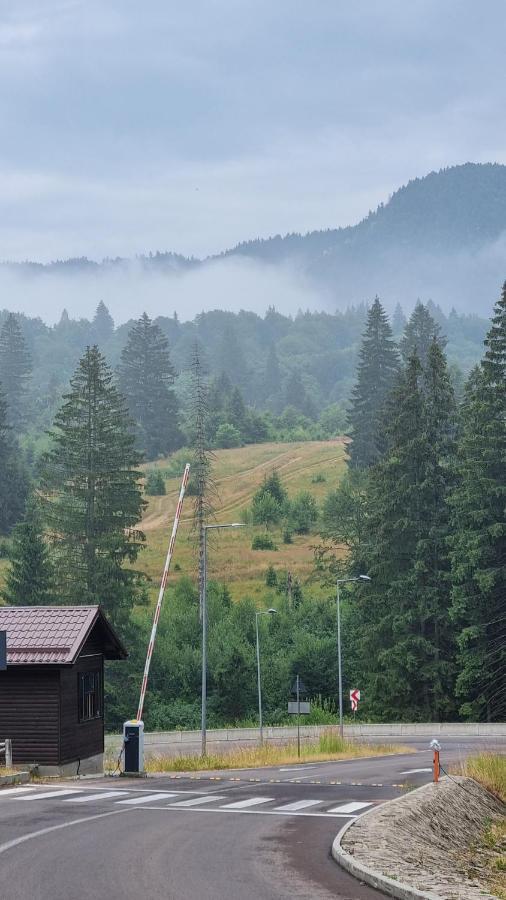 Charming Family Condo In Silver Mountain Poiana Brasov Εξωτερικό φωτογραφία